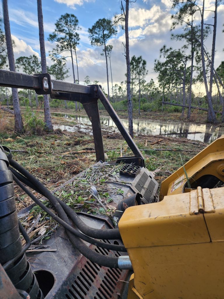 Dumpster Rental Services