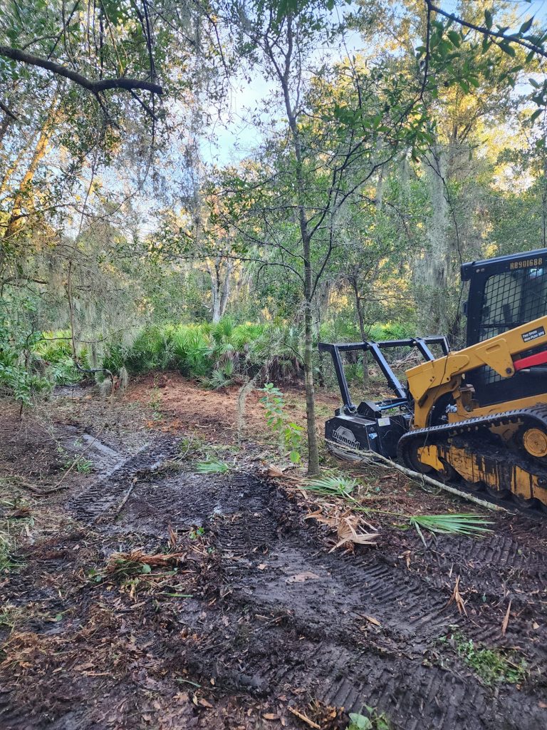 Dumpster Rental Services