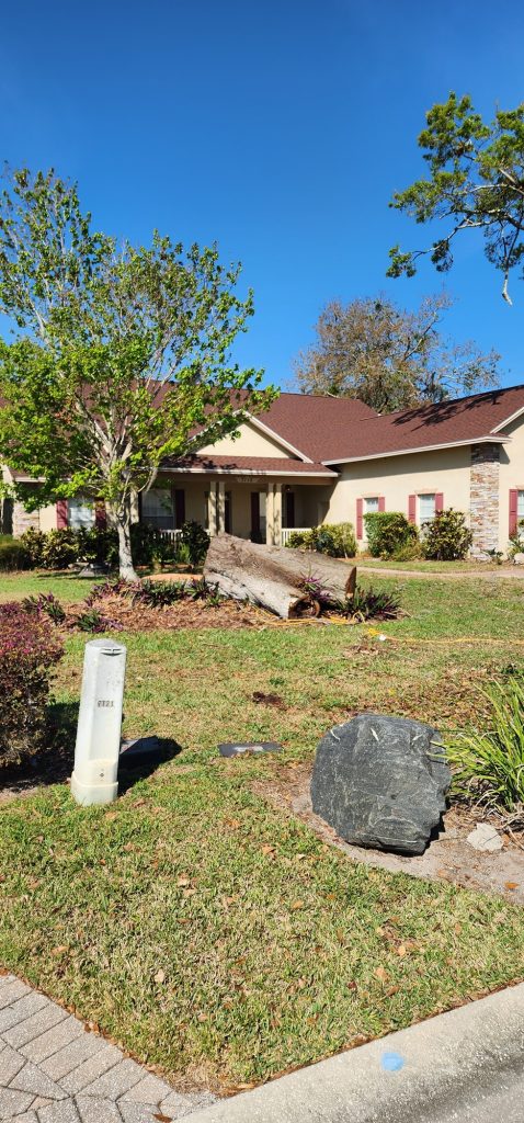 junk removal services